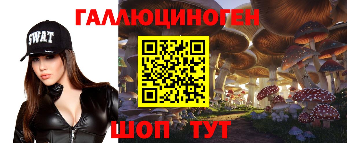 Петровск  Галлюциногенные грибы MAGIC MUSHROOMS  Вход с VPN 